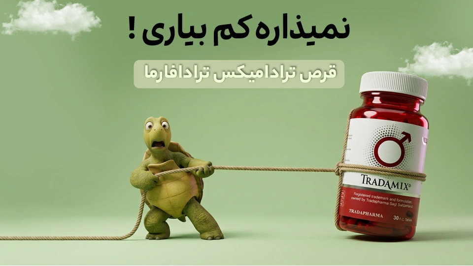 ترادامیکس