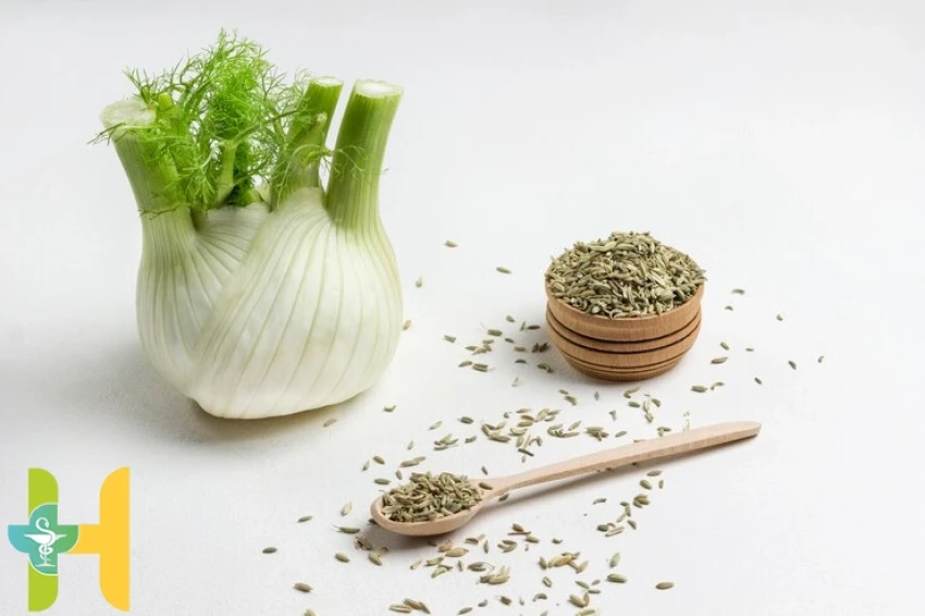 رازهای ناشناخته رازیانه؛ درمانی برای گوارش، تنظیم هورمونی و التهاب