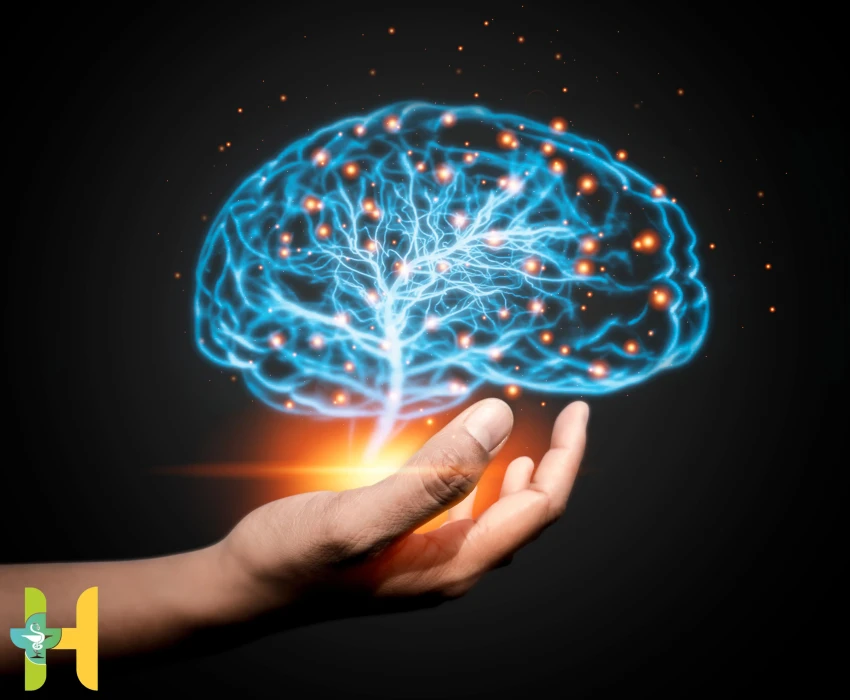 بهترین مکمل‌های غذایی  مؤثر در سلامت مغز