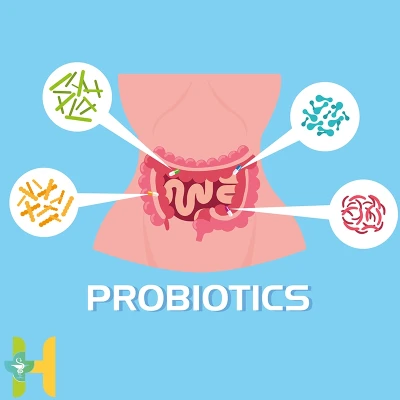 بررسی شگفت انگیزترین خواص پروبیوتیک برای پوست